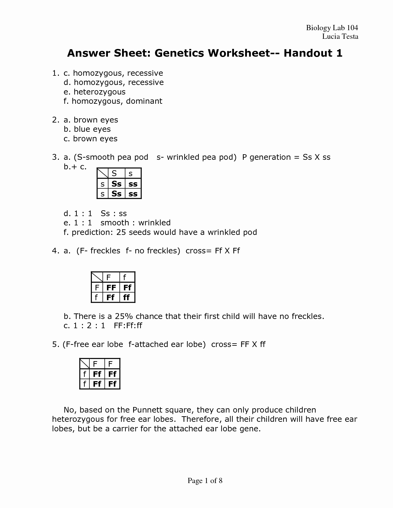 Genetics Worksheet Answer Key Unique 19 Best Of the Genetic Code Worksheet Answers