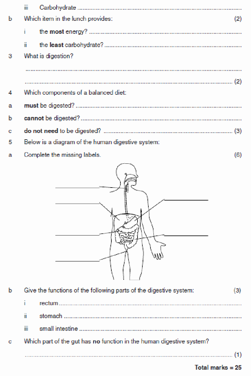 50 Joints And Movement Worksheet