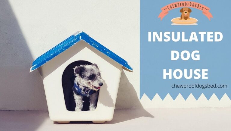 Insulated Dog House