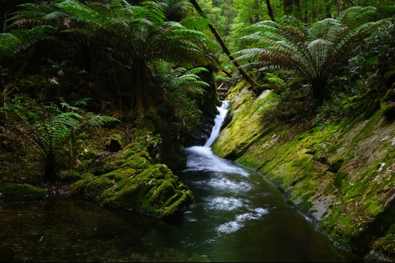 Hairpin Falls