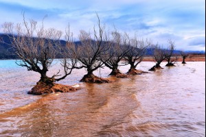 The Glenorchy Row