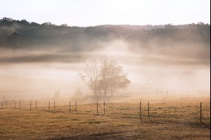 Fog on the Flats