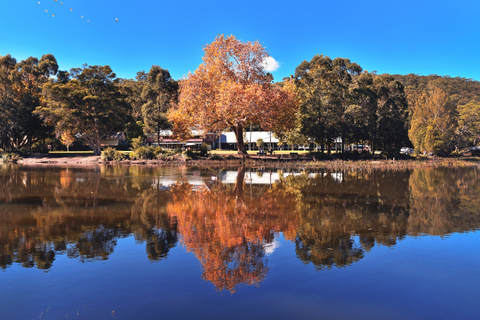 Sutherland Shire Photography Lessons