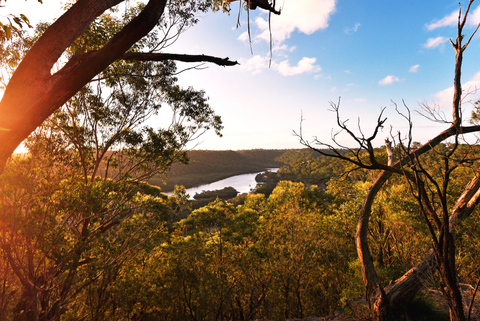 Photography Lessons Sutherland Shire