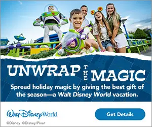 WDW_FY25_Give the Gift_Web Banner_300x250-300x250-5e77b89