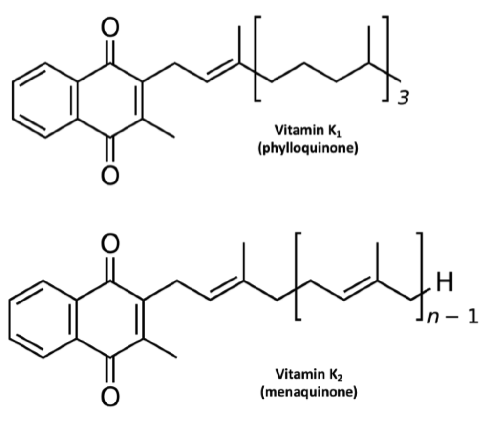 The Ultimate Vitamin K2 Resource Chris Masterjohn Phd