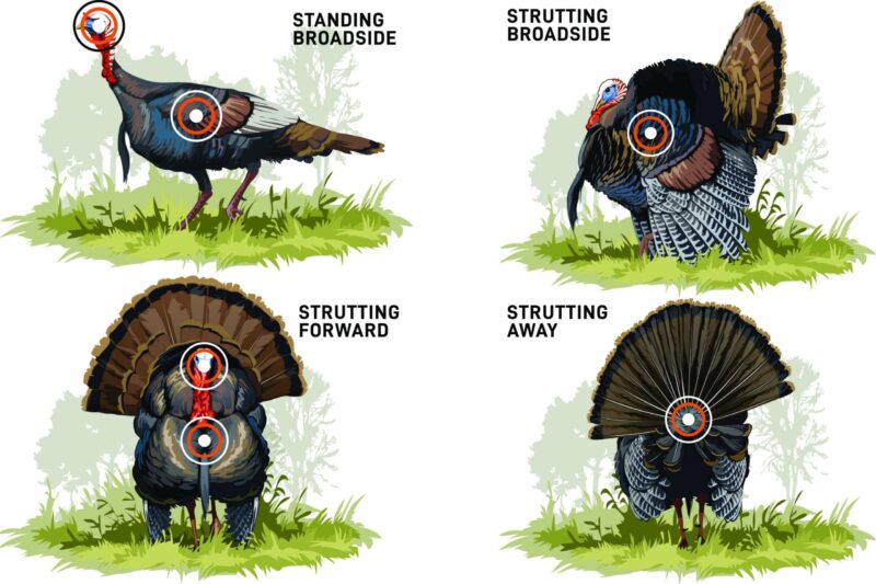 What Do You Need For Turkey Hunting? A Beginner’s Guide – THEKITCHENTODAY