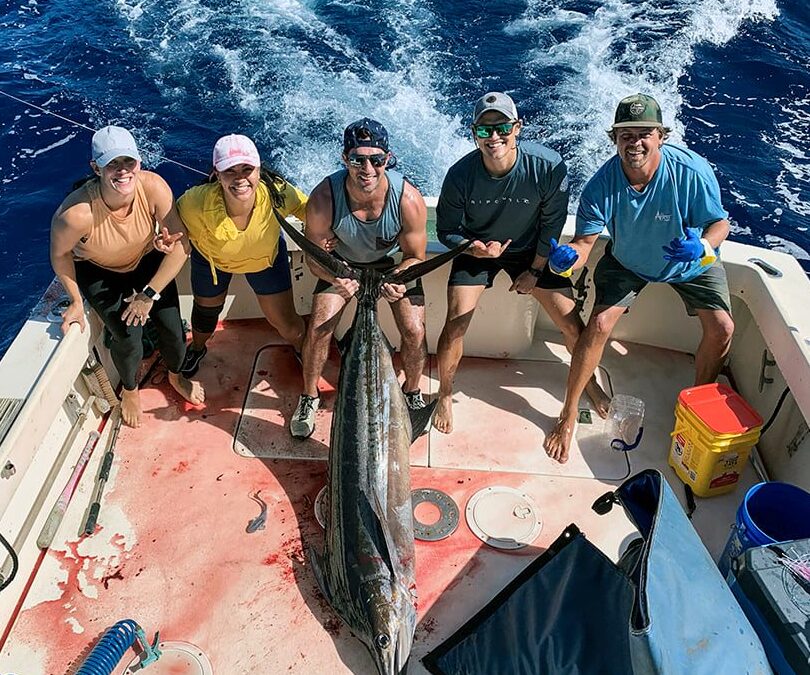 Pre New Years Eve Pacific Blue Marlin!