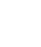 Snow flake