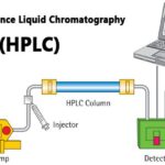 HPLC- Definición, Principio, Partes, Tipos, Usos, Diagrama