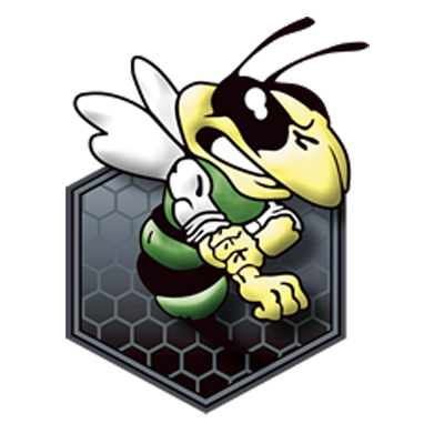 Wellsboro Hornets