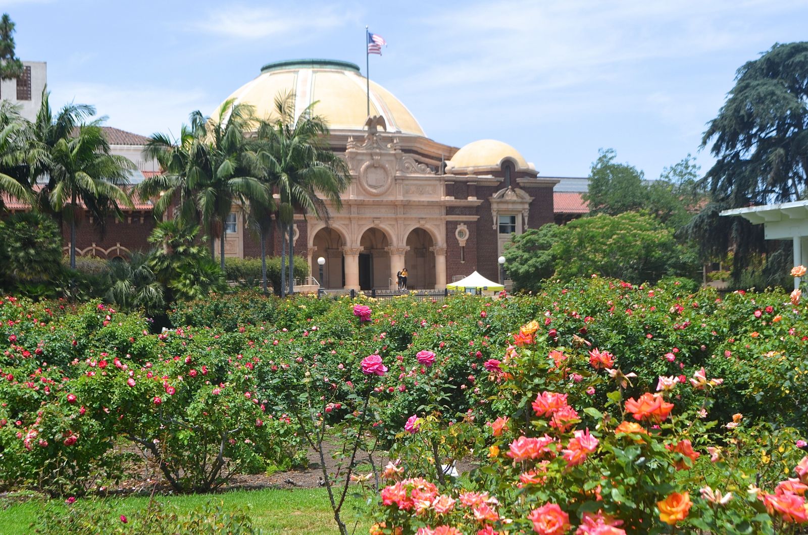 Exposition Park: 10 BEST Things to Do