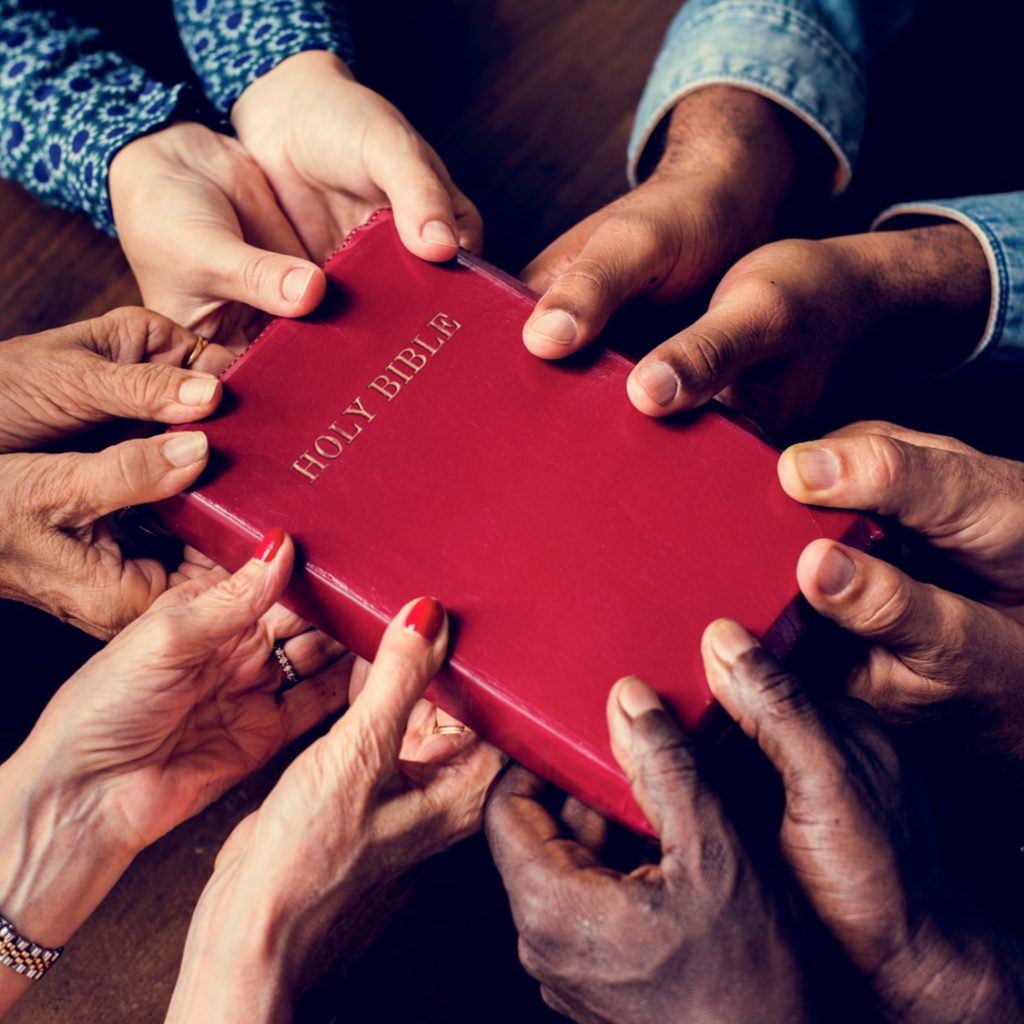 diverse hands holding the Bible