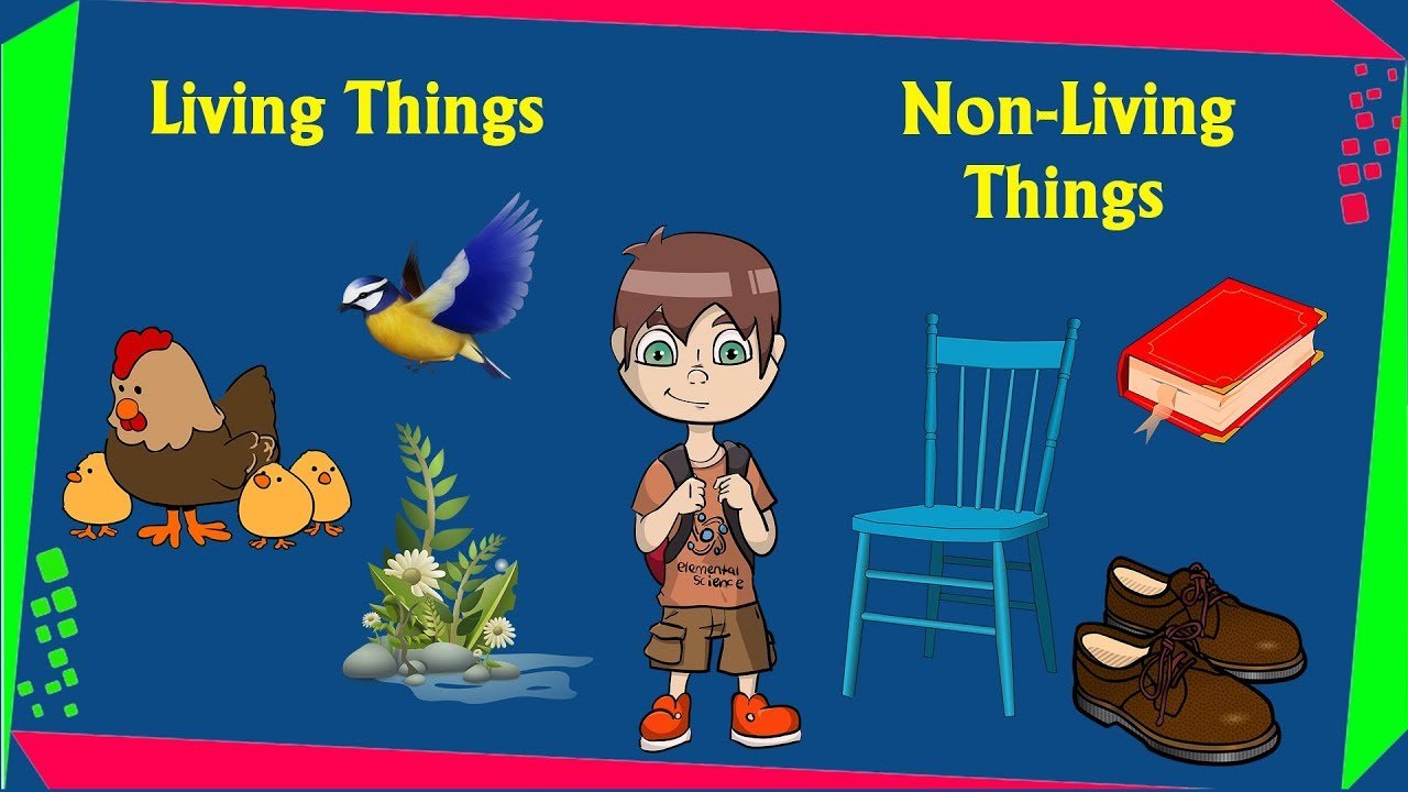 Living Things And Nonliving Things Images