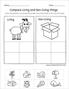 Living Vs Nonliving Worksheets