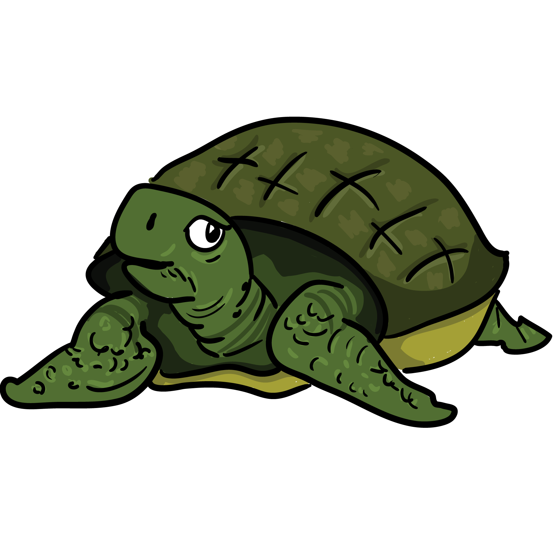 Cute Sea Turtle Clipart Tortoise Clipart Sea Turtle Clipart Png The ...