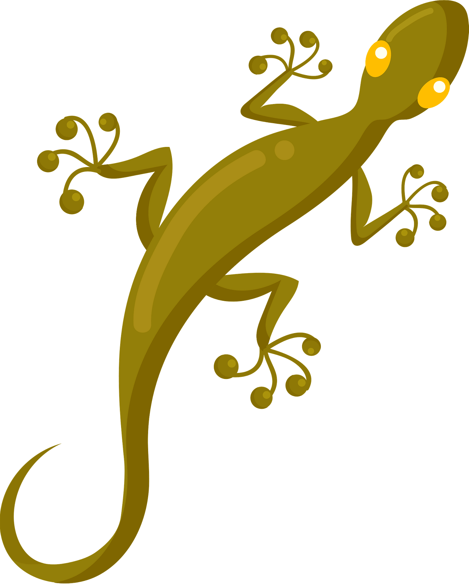 Lizard Clipart-yellow gecko lizard reptile educational clip art - Clip ...