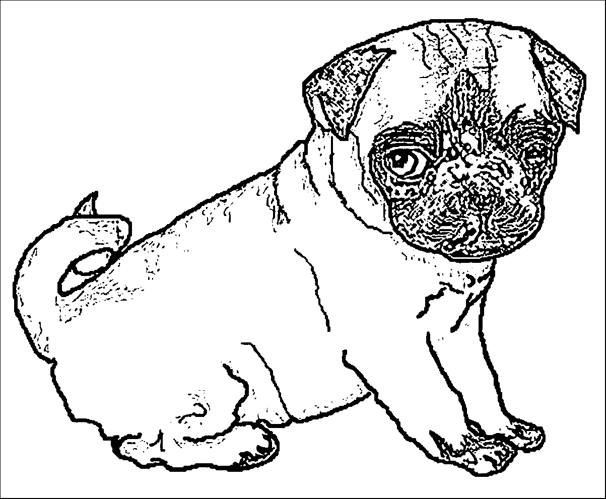 Baby Pug Dog Coloring Pages Animal Coloring Pages Dog - vrogue.co