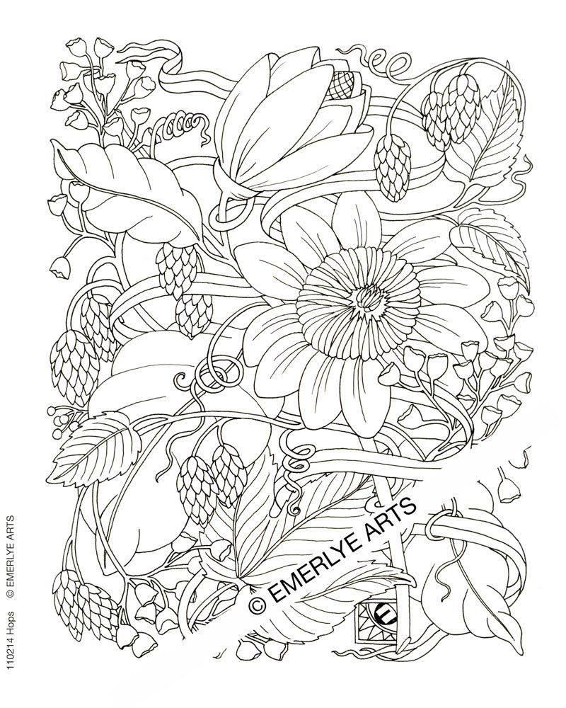 Advanced Coloring Pages Flowers Coloring Pages