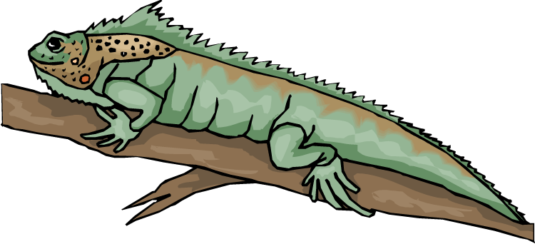 lizard on a tree clip art - Clip Art Library