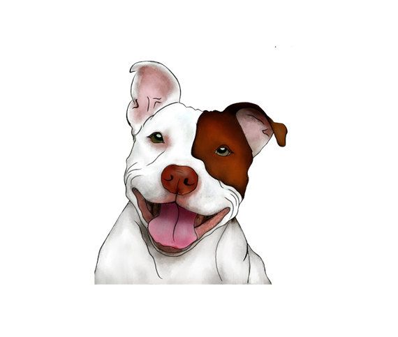 Cartoon Pitbull Dog ~ Free Pitbull Cliparts, Download Free Pitbull ...