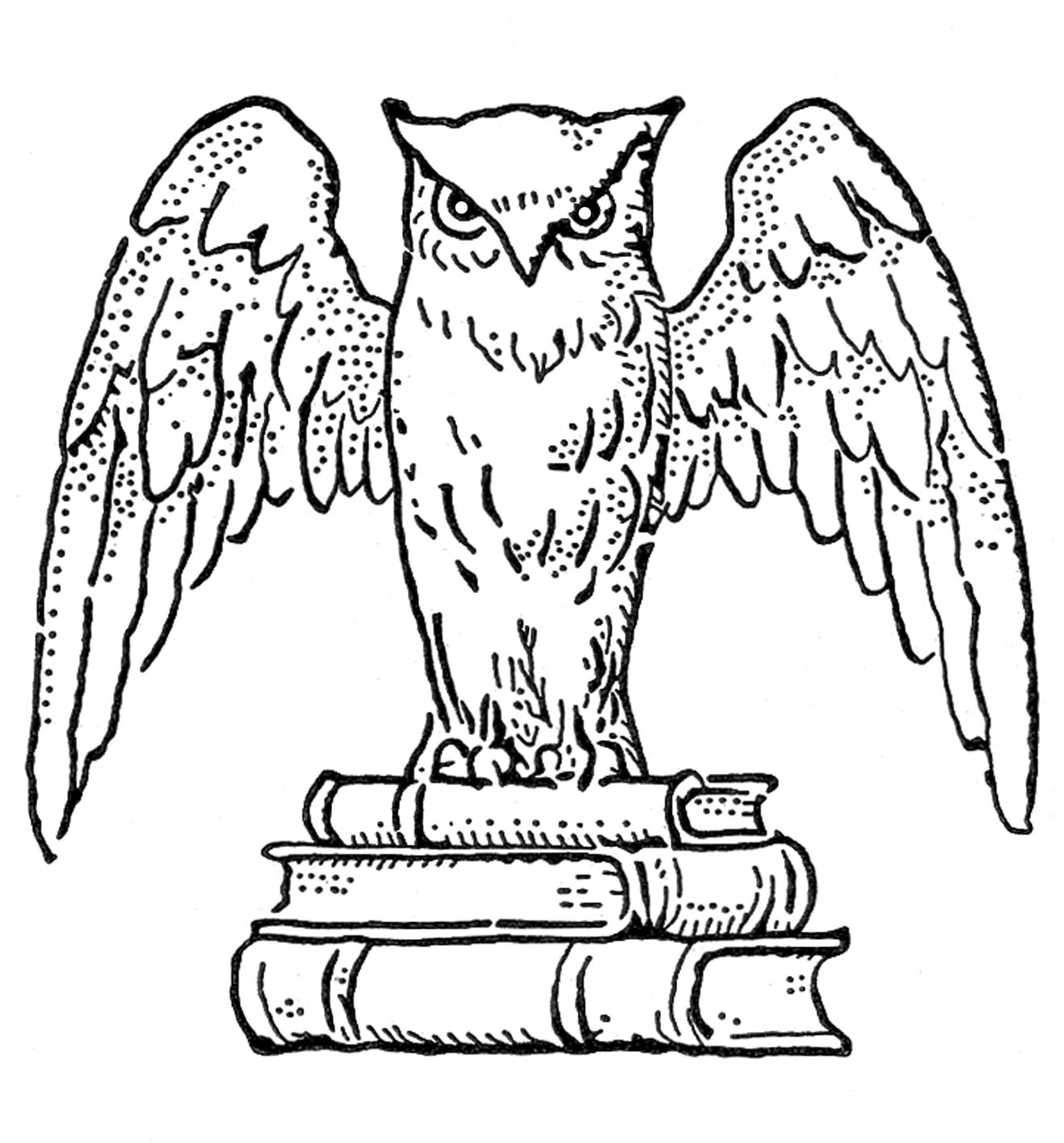 harry potter books owl - Clip Art Library