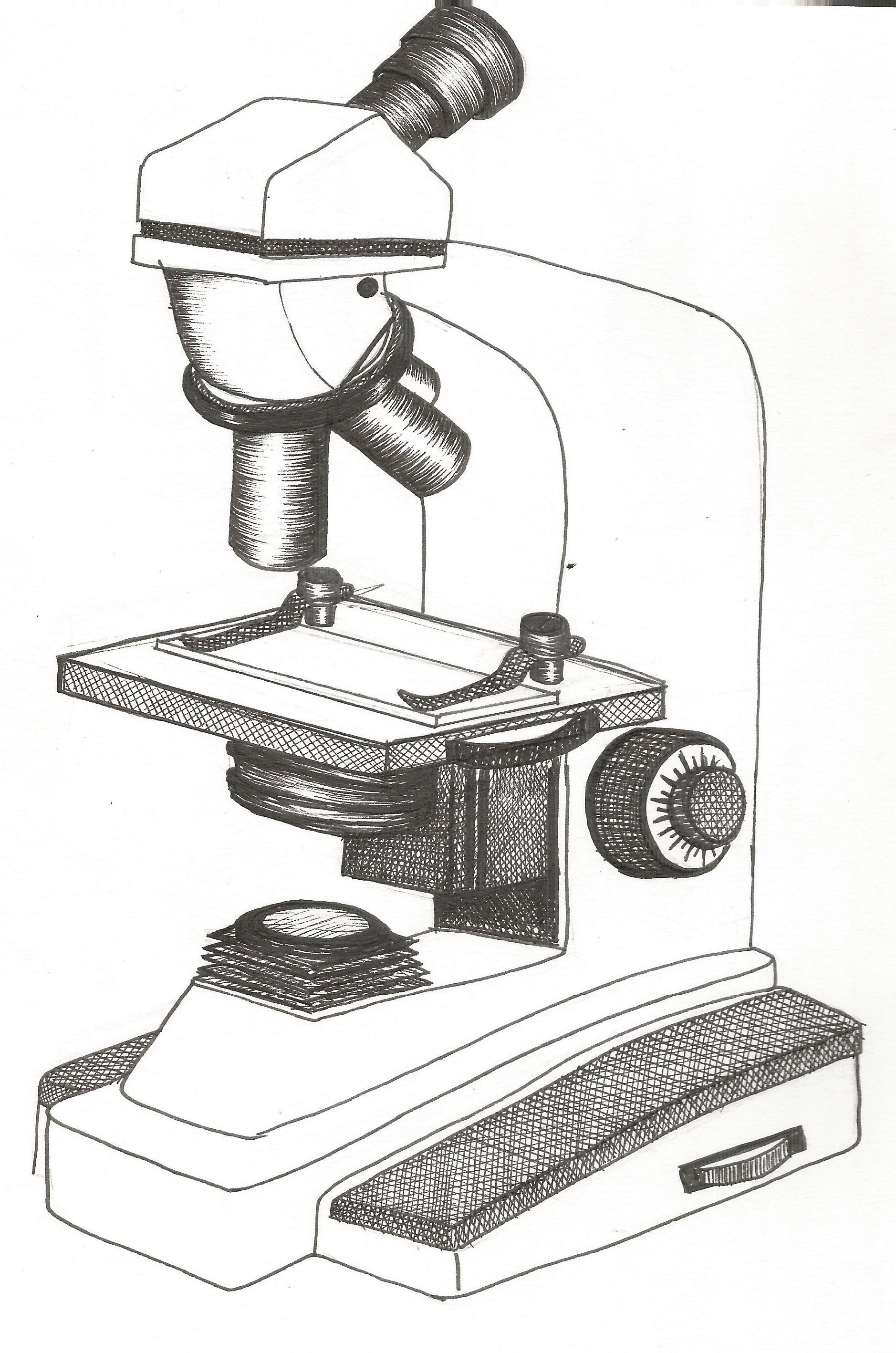 Mobile Labeled Compound Microscope Parts Sketch Coloring Page | The ...