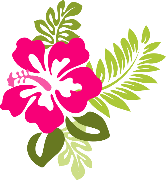 Free Hibiscus Flower Silhouette, Download Free Hibiscus Flower ...