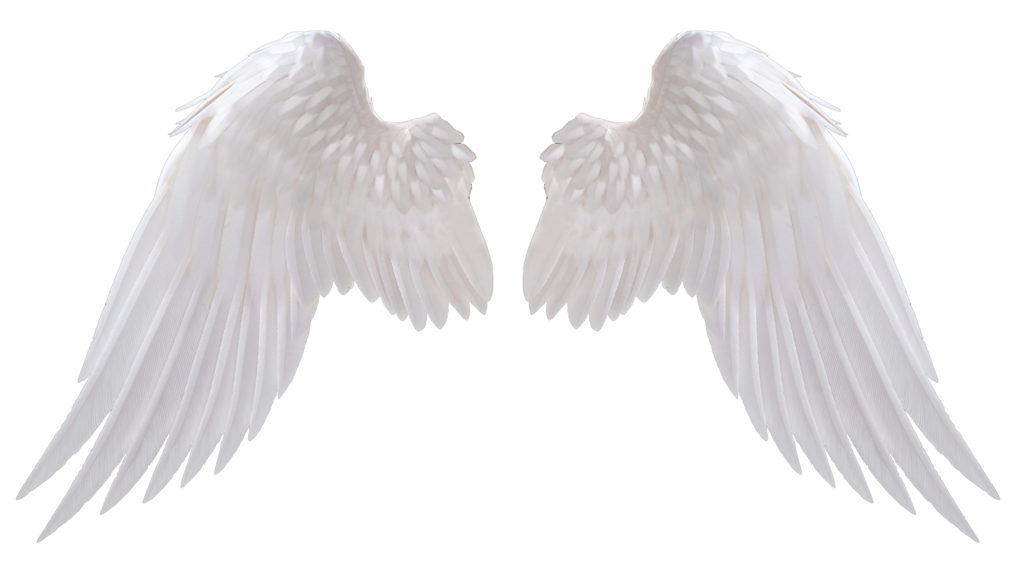 Free Angel Wings Transparent Background, Download Free Angel Wings  Transparent Background png images, Free ClipArts on Clipart Library