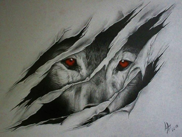 Free Wolves Drawings, Download Free Wolves Drawings png images, Free ...