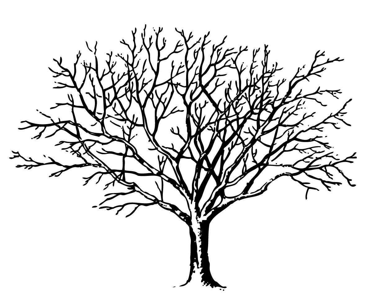 Free Printable Tree Silhouette, Download Free Printable Tree Silhouette ...