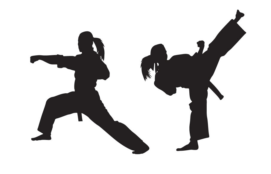 Martial Arts Silhouette Punch