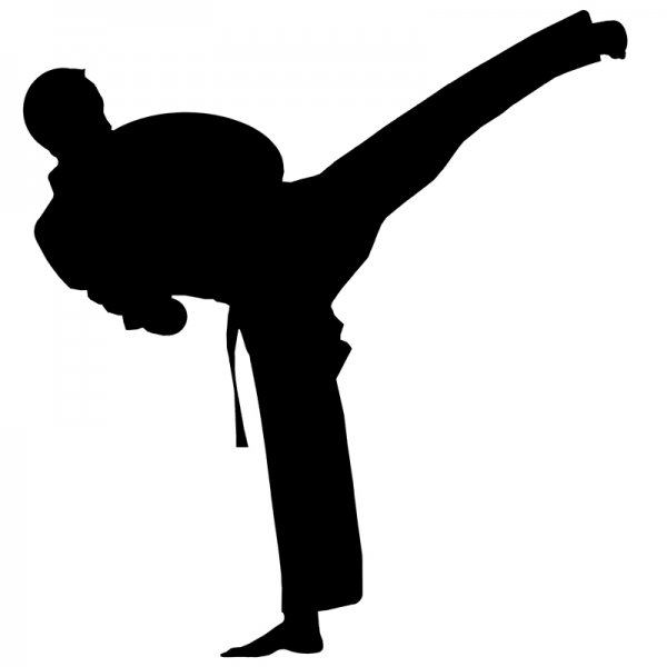 Martial Arts Silhouette Punch