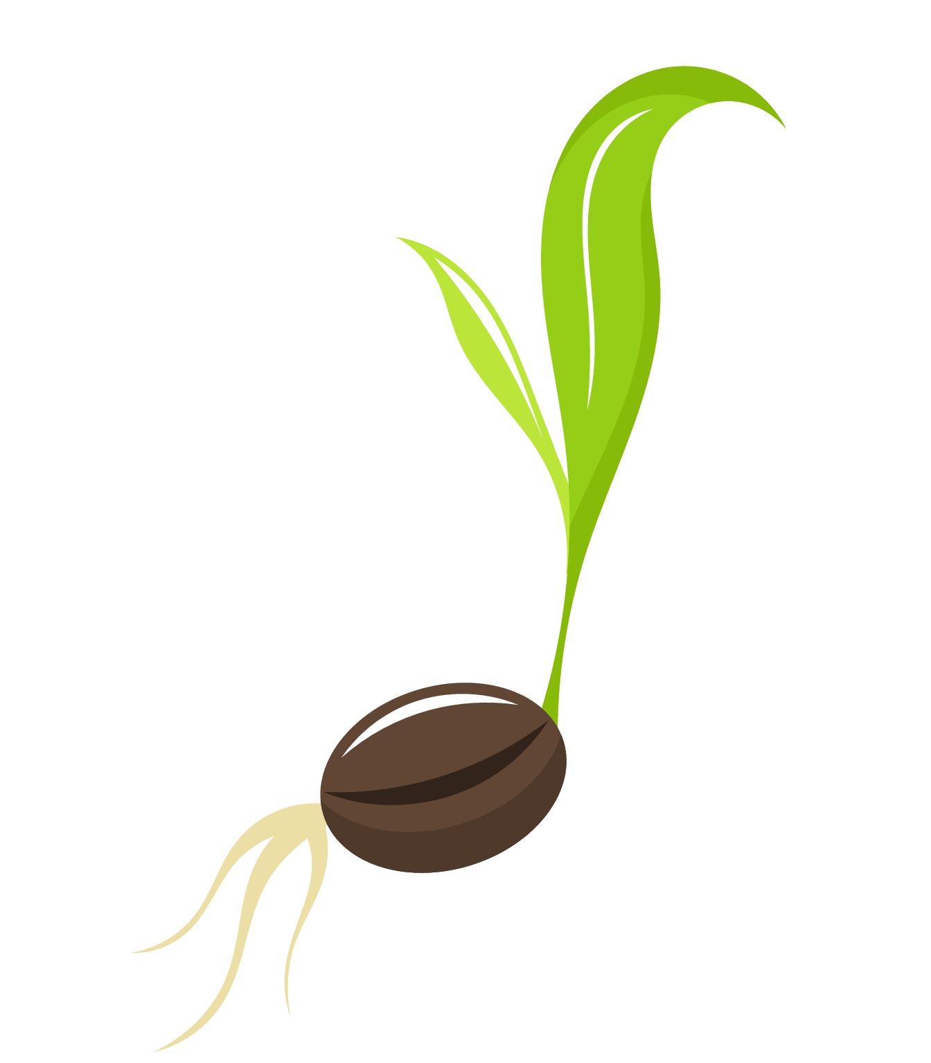 Planting A Seed Clip Art