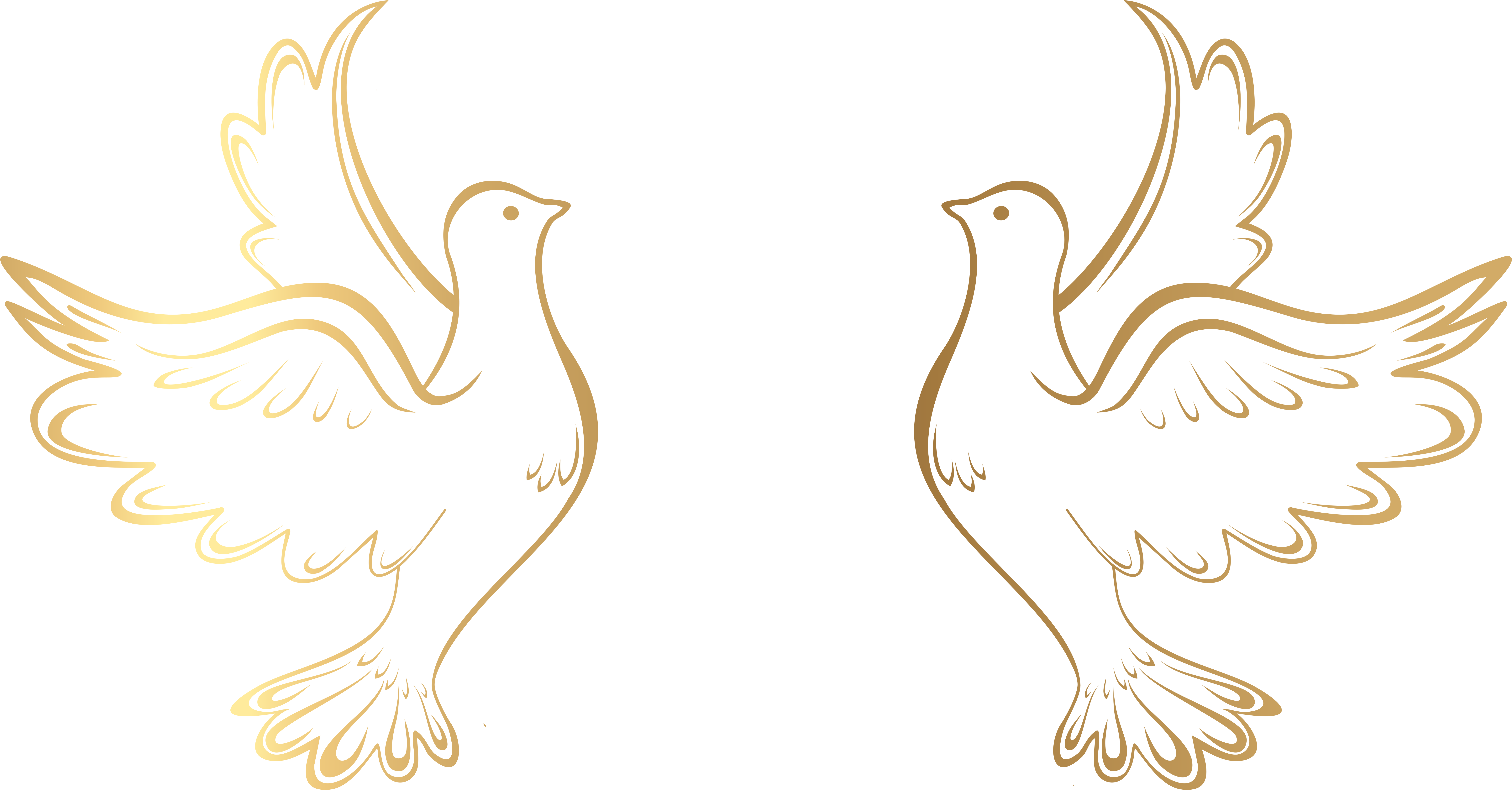 Holy Spirit Dove Outline Png Holy Spirit Dove Png Dove Outline Png ...