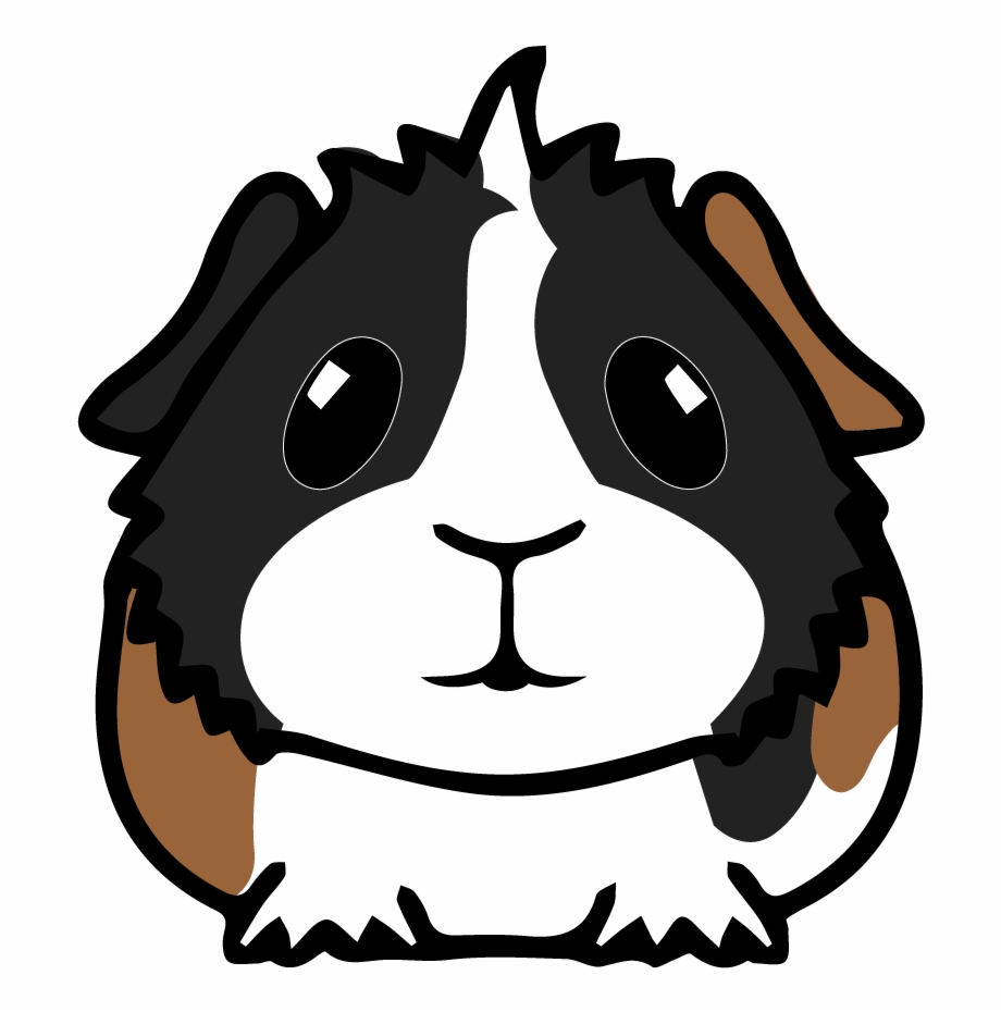 Guinea Pig - Clip Art Library