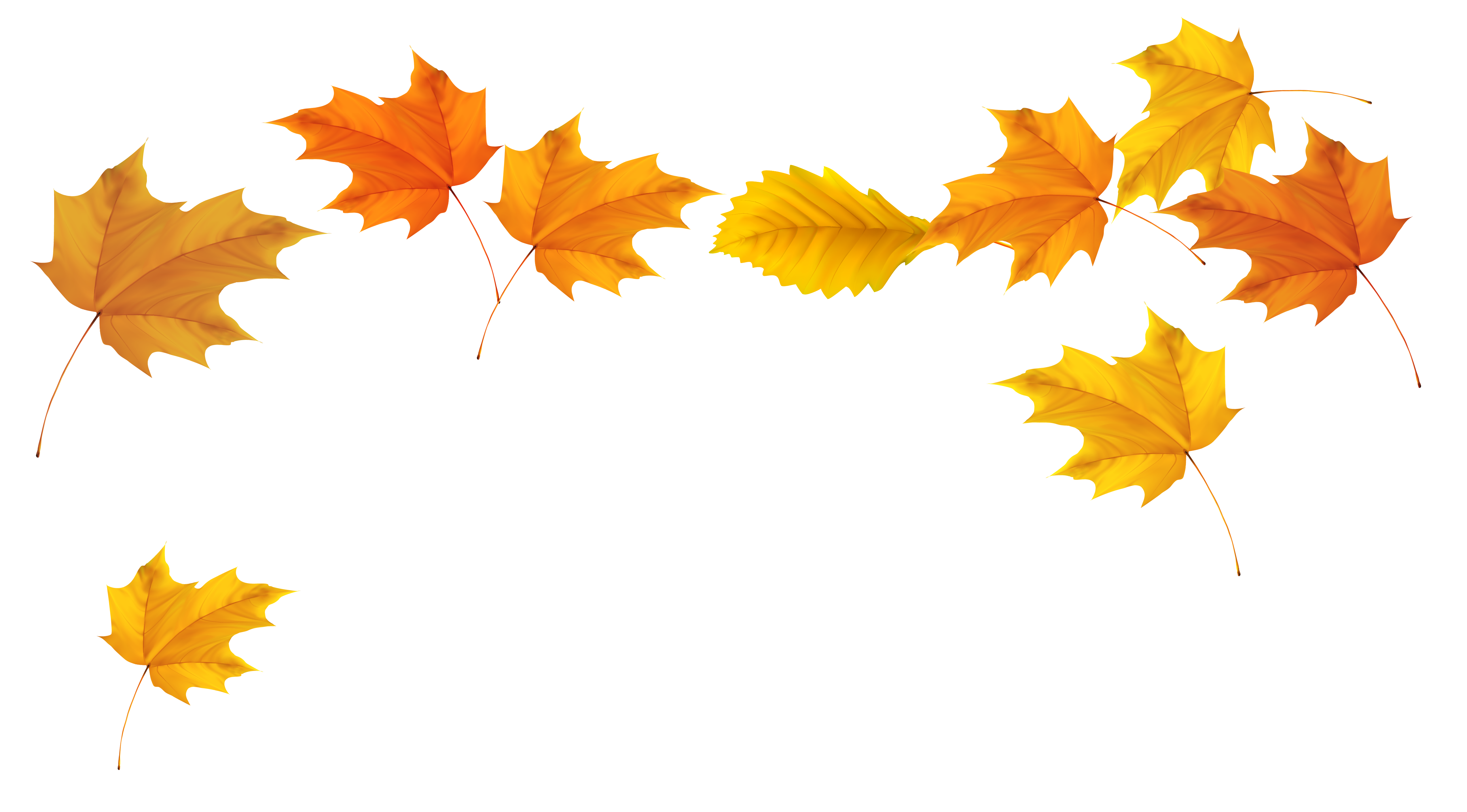 Free Fall Leaf Transparent Background, Download Free Fall Leaf ...