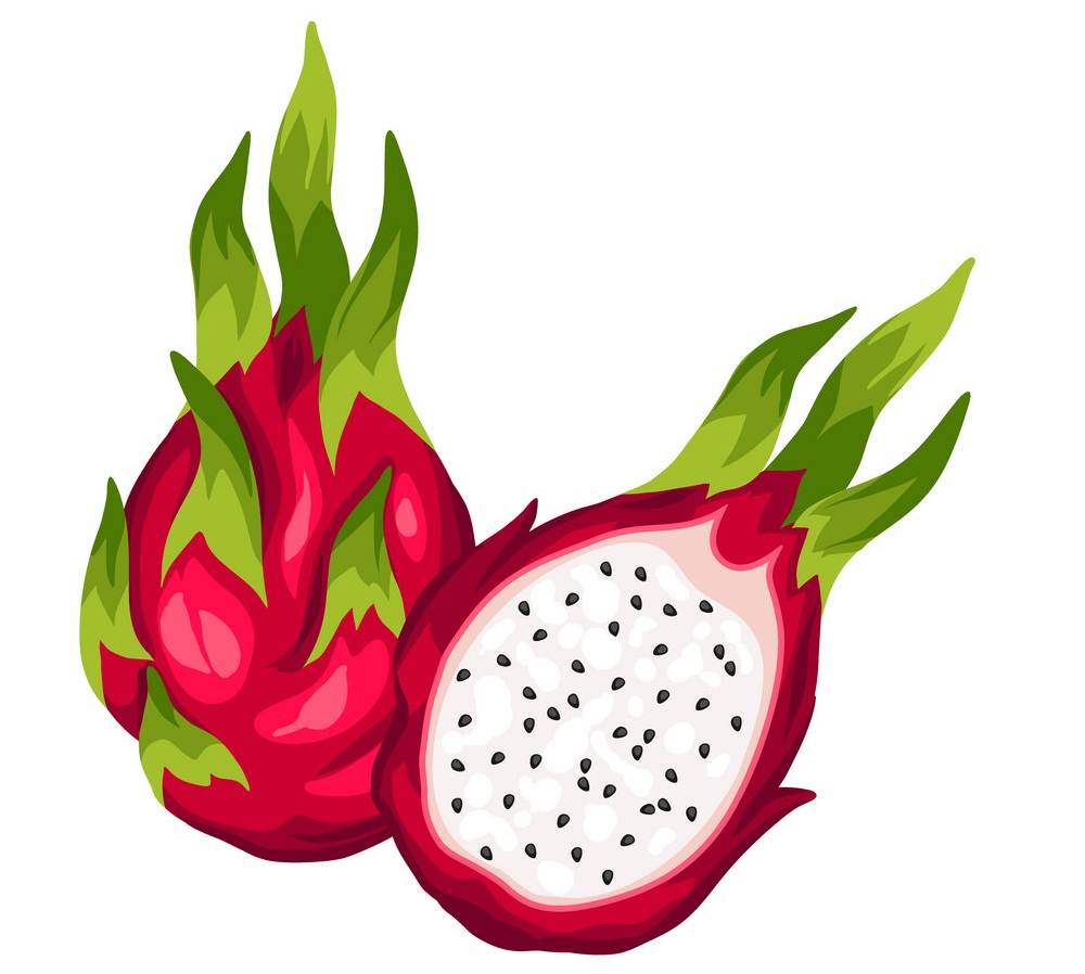 dragon fruit 1