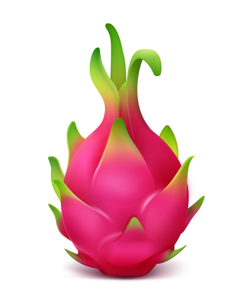 dragon fruit 2