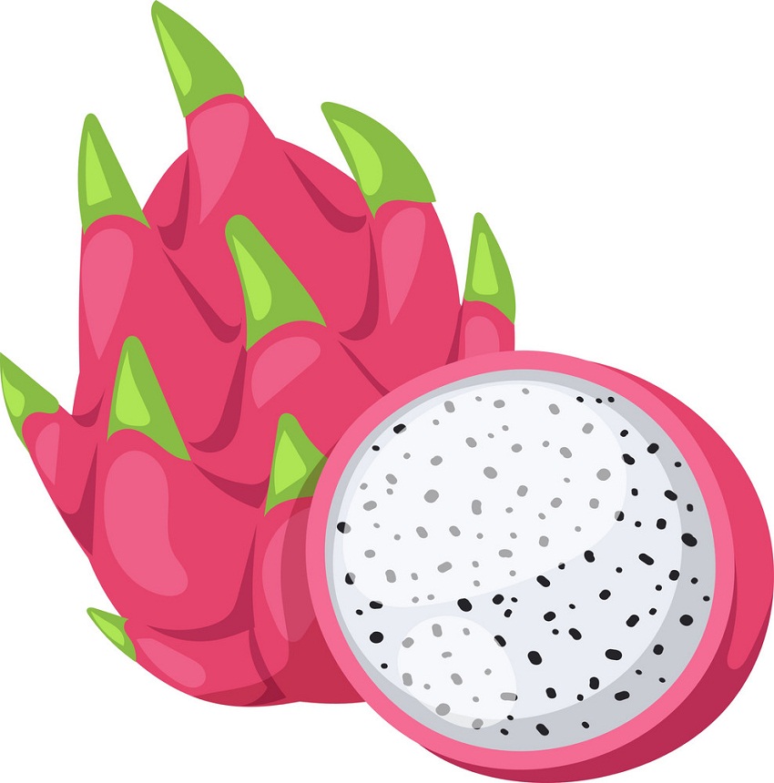 dragon fruit