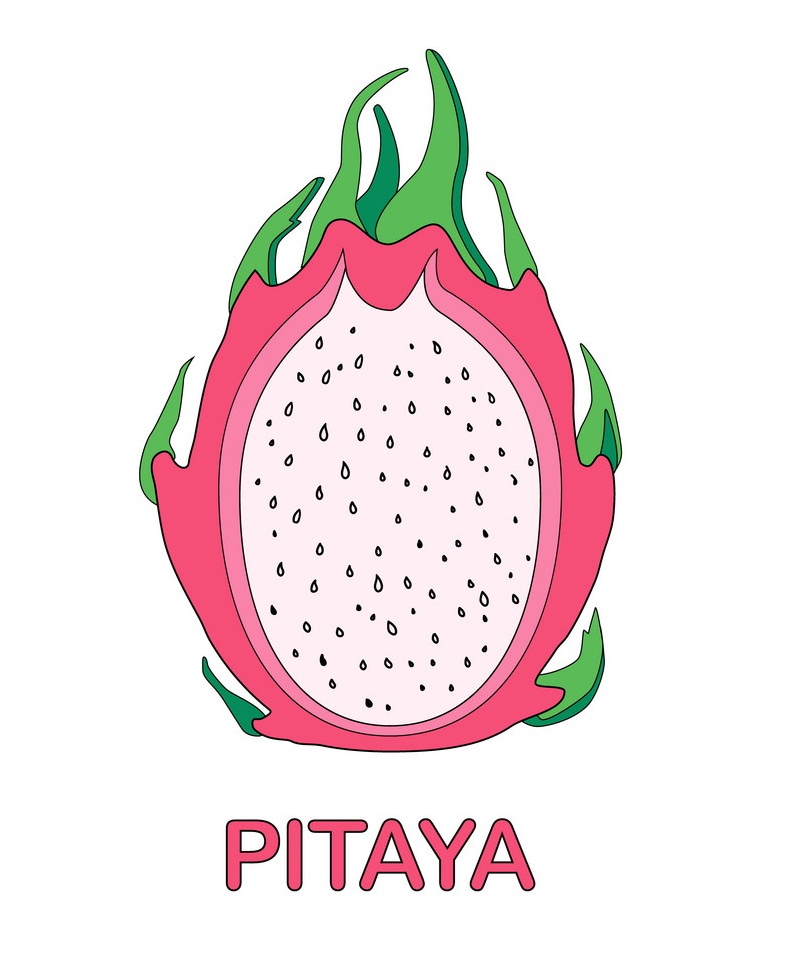 pitaya dragon fruit