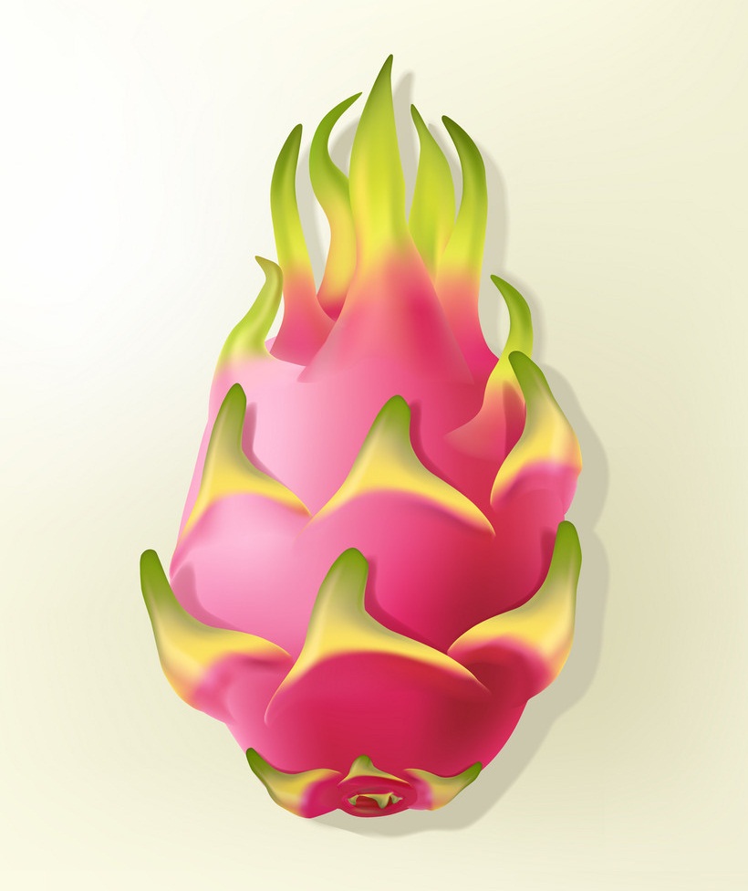 realistic dragon fruit