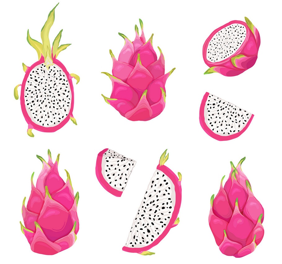 set of dragon fruits and slices