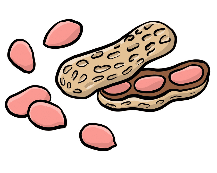 Peanut Clipart