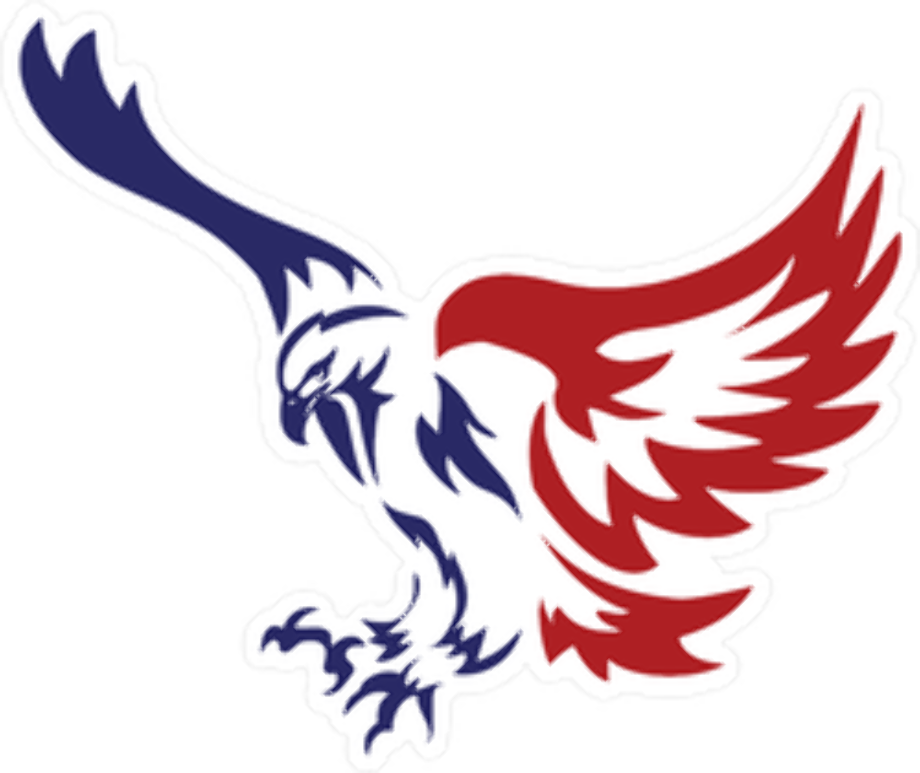 American eagle logo patriotic