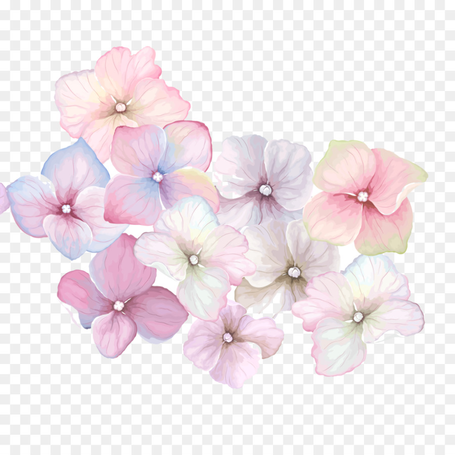 Flowers transparent background pastel