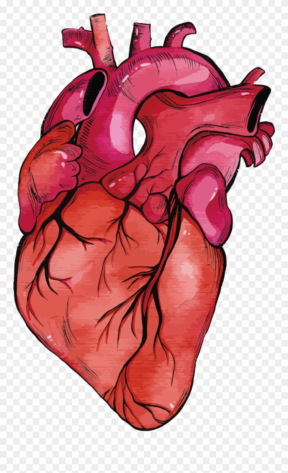 Heart transparent realistic