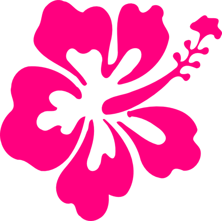 Download High Quality hibiscus clipart pink Transparent PNG Images ... image.