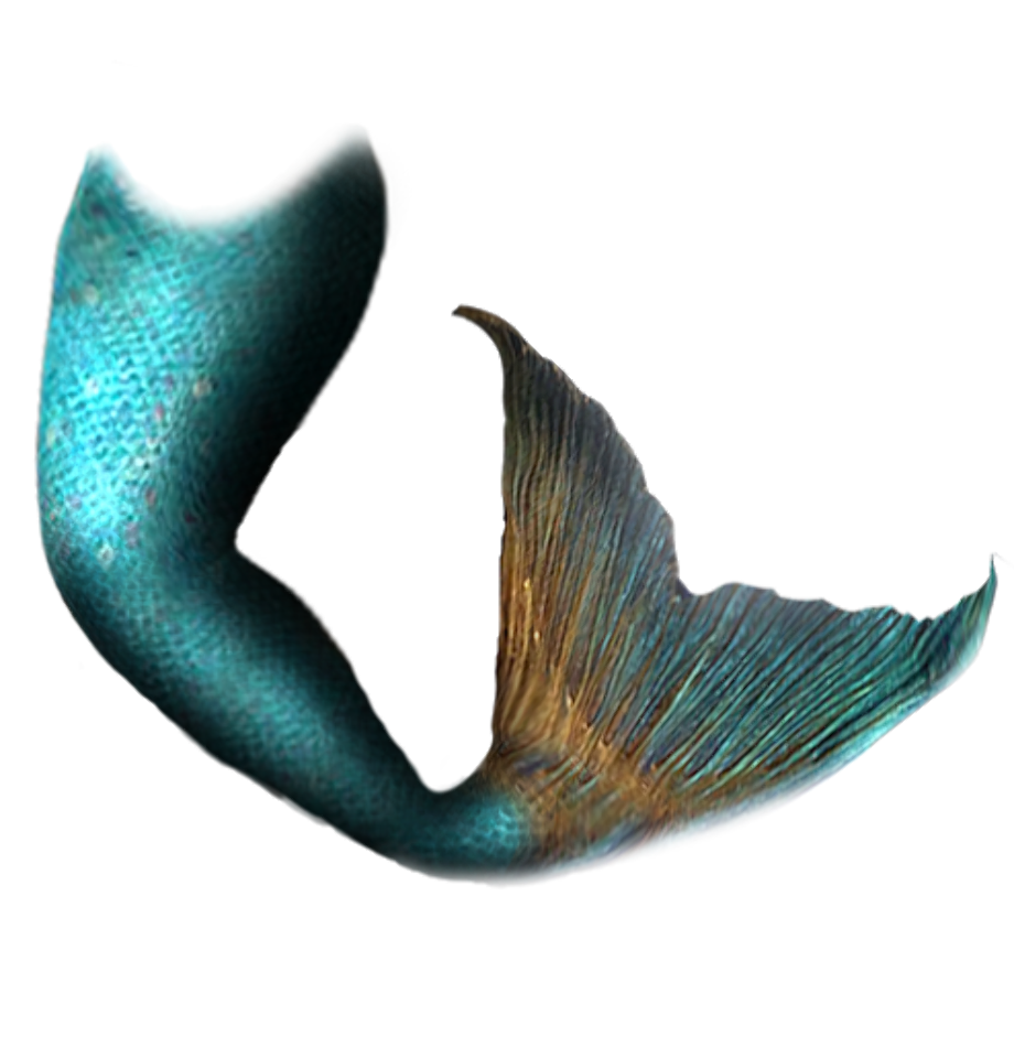 0 Result Images of Mermaid Tail Png Clipart - PNG Image Collection