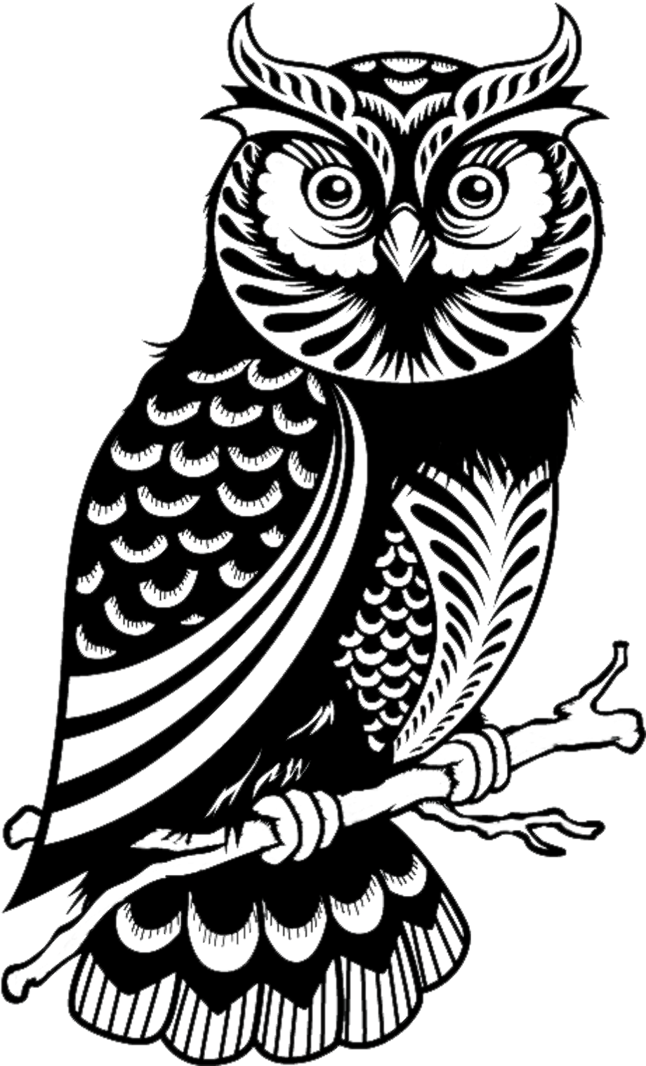 Owl Silhouette Clip Art Sad Owl Cliparts Png Download - vrogue.co